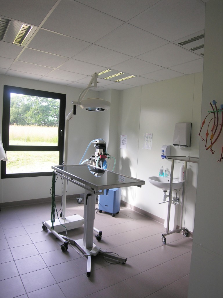 Clinique vétérinaire St jean B (5)