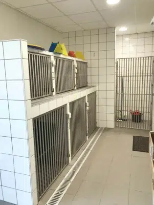 Angrie Chenil batiment veterinaire