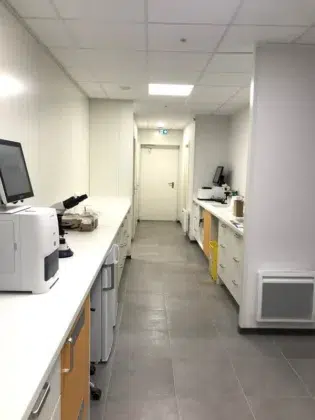 Angrie laboratoire clinique veterinaire 2