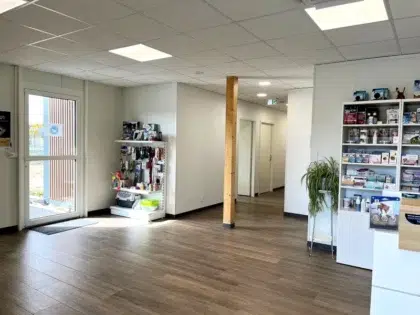 Clinique veterinaire St Gilles accueil