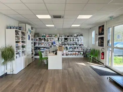 Clinique veterinaire St Gilles accueil2