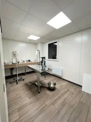 Clinique veterinaire St Gilles chirurgie