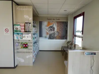 Clinique Saint Nicolas 4 D st Nicolas 5