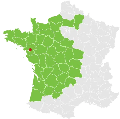 L'entreprise 5 Group 26