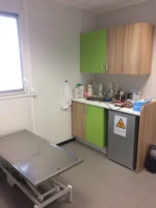 IMG 0693