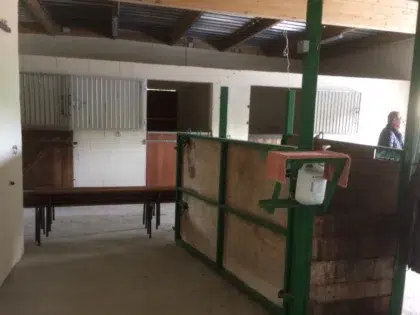 IMG 0700
