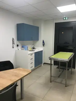 IMG 1876