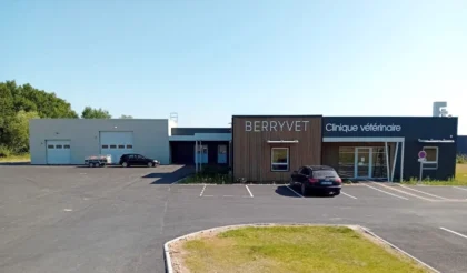 Photo veterinaire