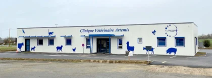 Santé 7 VAIGES