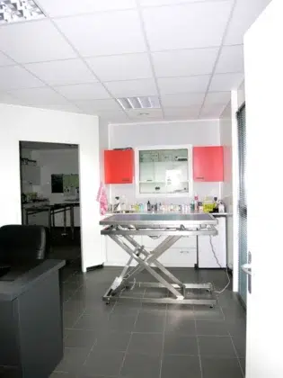 cabinet veterinaire Loouvigne 1