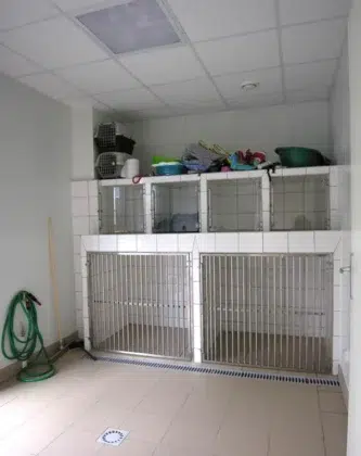 cabinet veterinaire ste gemme 7