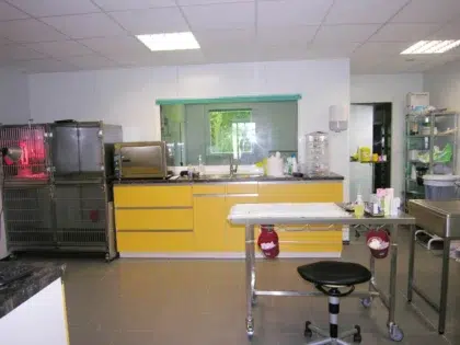 clinique veterinaire ons 8