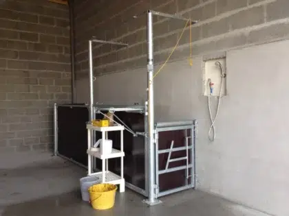 clinique veterinare becon 6pt 1024x768 1