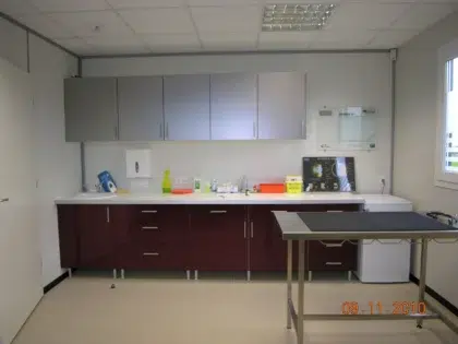 consul